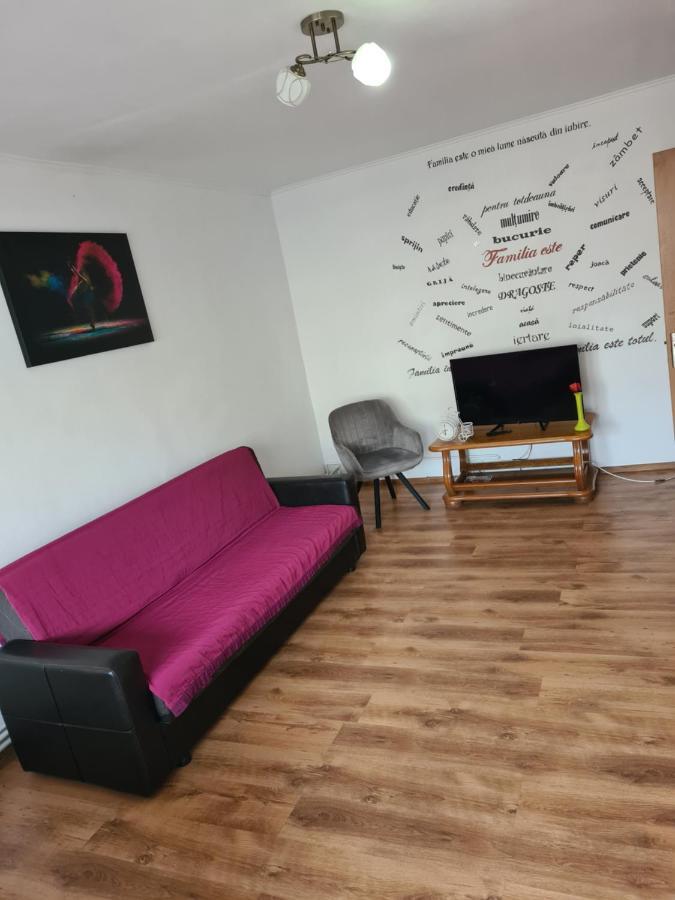 Mall Zone 100Mp Apartments Bacău Dış mekan fotoğraf