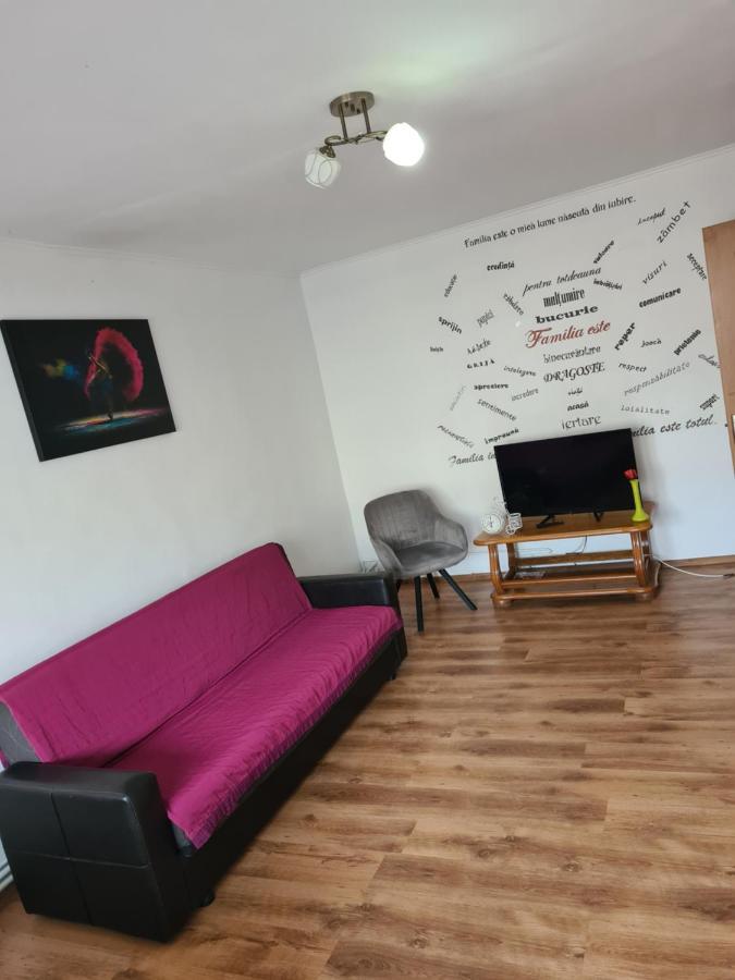 Mall Zone 100Mp Apartments Bacău Dış mekan fotoğraf